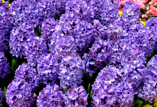 334164 (a): :2200x1500